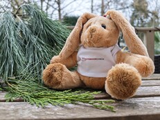 Honor Magic8 Pro: Beispielfoto