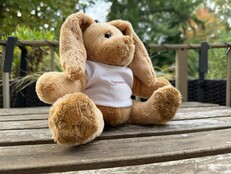 Apple iPhone 17 Pro: Beispielfoto