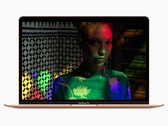 Test Apple MacBook Air 2018 (i5, 256 GB) Laptop
