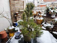 Xiaomi 17 Ultra: Beispielfoto