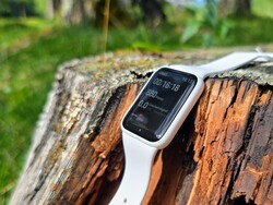 Xiaomi Smart Band 10 Pro (Foto: Benedikt Winkel)