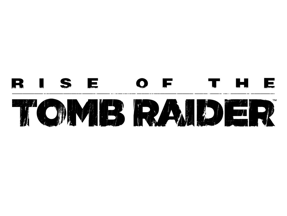 Rise of the Tomb Raider Notebook Benchmarks