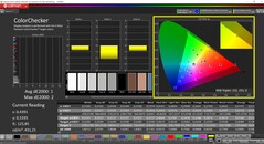 CalMAN ColorChecker (Profil: P3, Zielfarbraum: P3)