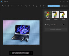 Auf den ersten Blick wurde der Hintergrund adäquat markiert.