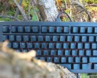 Die Gmmk 3 Pro HE 75 % Tastatur (Bildquelle: Notebookcheck)