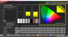 CalMAN ColorChecker (Profil: Native, Zielfarbraum: P3)