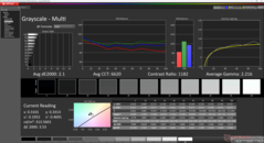 Graustufen nach Kalibrierung