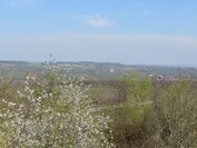 Sony Xperia 1 VI – 3-facher Zoom