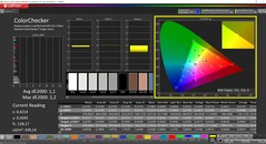 CalMAN ColorChecker (Profil: sRGB, Zielfarbraum: sRGB)