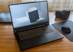 Das Schenker Key 17 Pro setzt auf eine performante RTX 4090 und den Core i9-14900HX (Bildquelle: Bogdan Solca)