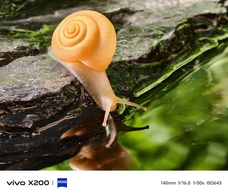 Das Vivo X200 Basismodell zeigt seine Telemakro-Fähigkeiten in einem Sample-Photo bei 140mm äquivalenter Brennweite.