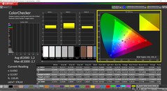 CalMAN ColorChecker (Profil: AdobeRGB, Zielfarbraum: AdobeRGB)