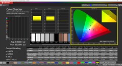 CalMAN ColorChecker (Profil: P3: Zielfarbraum: P3)