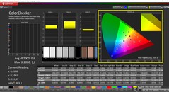 CalMAN ColorChecker (Profil: P3, Zielfarbraum: P3)