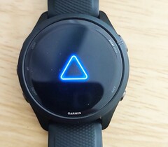 Updates können bei Garmin-Smartwatches zu einem Boot-Loop führen. (Bildquelle: u/G1GARF, Reddit)