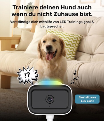 Ein Licht ist vorhanden (Bildquelle: PetTec)