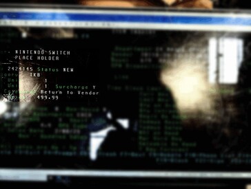 Details aus der Nintendo Switch-Datenbank (Bildquelle: Famiboards - vom Redakteur unkenntlich gemacht)