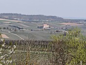 OnePlus 13 – 10-facher Zoom