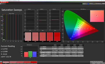 Sättigung (Farbmodus: Normal, Farbtemperatur: Standard, Zielfarbraum: sRGB)