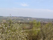 OnePlus 13 – 3-facher Zoom