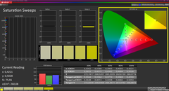 Saturation (kalibriert)
