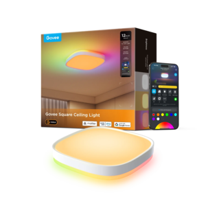 Govee 30cm RGBWW + RGBIC Smart Ceiling Light