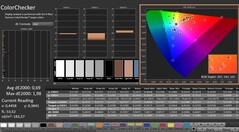 CalMAN: ColorChecker (kalibriert)