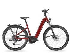 Das Premio Evo 10 Lite ist ein neues Trekking-E-Bike (Bildquelle: Pegasus)