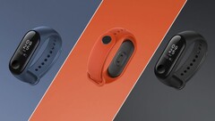 Xiaomi: Mi-Fit-Update mit Verbesserungen für Mi Band 3 und Amazfit Bip