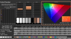 CalMAN: ColorChecker (kalibriert)