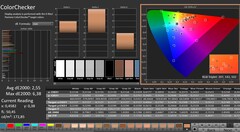 CalMAN: ColorChecker (kalibriert)