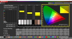 CalMAN ColorChecker (Profil: sRGB, Farbraum: sRGB)