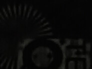 Motorola Moto G15 Mali-G52 MP2, Helio G81, 128 GB eMMC Flash Motorola Moto G15