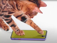 Katzen spielen mit dem neuesten Gaming-Flaggschiff von Nubia. Das RedMagic 7 soll es auch mit Under-Display-Kamera geben, erstmals bei einem Gaming-Phone.