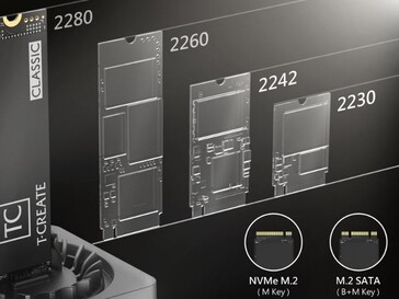 Es werden SSDs verschiedener Größen unterstützt (Bildquelle: Team Group)