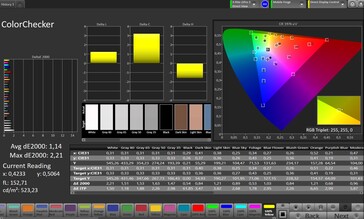 Farbgenauigkeit (Profil: Pro Zielfarbraum: sRGB) - Außendisplay