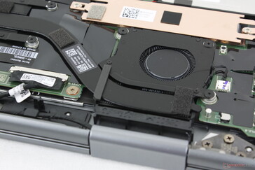 Wir können bei unserem Testgerät keine elektronischen Geräusche oder Spulenfiepen feststellen