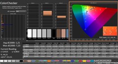 CalMAN: ColorChecker (kalibriert)