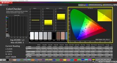 CalMAN ColorChecker (Profil: sRGB, Zielfarbraum: sRGB)