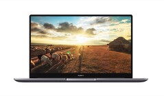 Das Huawei MateBook D15 ist ein schickes Notebook mit Metallgehäuse, durch Comet Lake-U fällt die Grafikleistung aber mäßig aus. (Bild: Huawei)