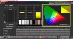 CalMAN ColorChecker (Profil: sRGB, Zielfarbraum: sRGB)