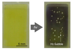 Im Sonnenlicht bilden sich H2-Bläschen im Wasser. (Bildquelle: JAIST)