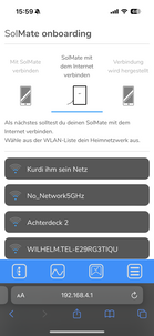 WLAN auswählen (Web)