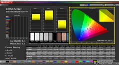 CalMAN ColorChecker (Profil: Native, Zielfarbraum: P3)