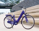 Passion Evo: E-Bike auch in auffälligen Farben (Bildquelle: Pegasus)