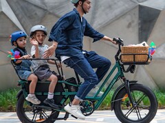 Das Fiido T2 2025 kann viel Last tragen (Bildquelle: Fiido)