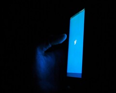 Das weltbekannte Twitter-Logo wird durch eine Glyphe aus einem Font von Monotype ersetzt. (Bild: Akshar Dave)