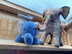 Aufnahme Frontkamera