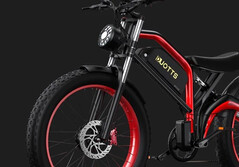 Dicke Reifen und zwei Motoren: Das N26 ist ein starkes E-Bike (Bildquelle: Duotts)