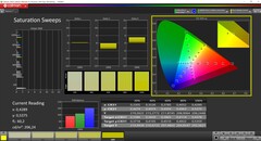 CalMAN Sättigung (Profil: P3, Zielfarbraum: P3)